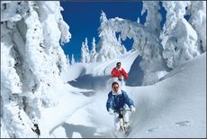 THERESA FIRNSPASS - WOCHEN mit Skipa&szlig; f&uuml;r 640 km Skipisten und &euro; 40,00 Wellness-Gutschein