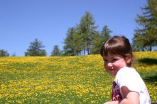 img_2144.jpg