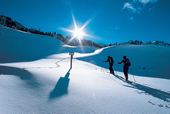 Schneekristall - Tage