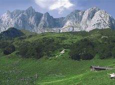 Naturerlebnis am Wilden Kaiser