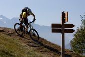 Ladys Only - Mountainbike Fahrtechnik und Trailzauber