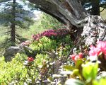 Wellness & Action au Tyrol | 3 nuits
