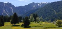 Gibt es etwas Sch&ouml;neres als sich in herrlicher Natur zu bewegen? Entdecken Sie den Blick der Besonderheiten in der Natur der Dolomiten w&auml;hrend einer gef&uuml;hrten Wanderung mit Naturbegleiter Franz oder erleben Sie ein wahres Golffeeling in einer atemberaubenden Kulisse auf dem hauseigenen Golfplatz.&nbsp;