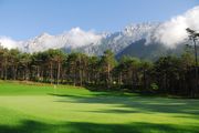 Traube - Golf: Platzreife INTENSIVKURS (wöchentlich!!!)