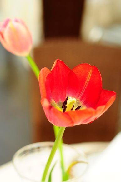 Alles Gute zum Geburtstag