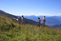 Meraner Bergträume | (7 Tage)