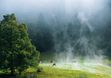 Natur im Bregenzerwald
