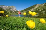 Frühlingserwachen |