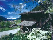 Schnuppertage im Bergsommer