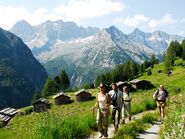 Mountain Summer