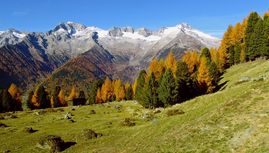 Assaporate e scoprite la magia dell'autunno qui da noi, in Valle Aurina. Le foglie tinte d'oro danzano nel vento, il sole autunnale vi accarezza con la forza dei suoi ultimi raggi, godetevi la vista mozzafiato sull'ambiente montano della Valle Aurina e lasciate che lo staff delle nostre cucine soddisfi il vostro palato.