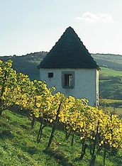 Schalten Sie im Kurzurlaub einen Gang runter - Auszeit im Schwarzwald!