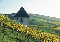 Schalten Sie im Kurzurlaub einen Gang runter - Auszeit im Schwarzwald!
