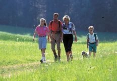 Entdecken Sie die Reize des Glottertals zu jeder Jahreszeit. Wanderer finden hier ebenso ihre Strecken wie Nordic Walker.