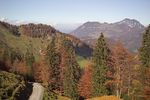 Herfst wandelweken