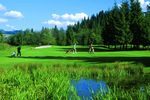 Total Golf Experience in summer