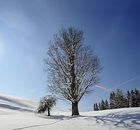 Enjoy skiing and then let yourself be pamperd in the well-being area with sauna and relaxing zone. Less 10 % enjoyment-discount