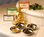 Ayurveda de Luxe for 3 nights