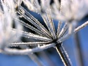 Short Stay "Wintertraum" für 2 oder 3 Nächte