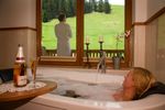Hotel Tuxertal - Geniesserbaumsuite BIRNBAUM