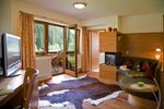 Hotel Tuxertal - Forest Suite "CHERRY TREE"