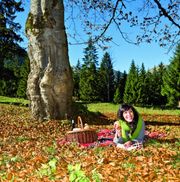 Bunte, schöne Herbstnatur