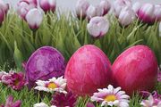 Happy Easter!