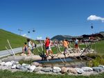 Summer holiday in the Wilder Kaiser Region Tyrol