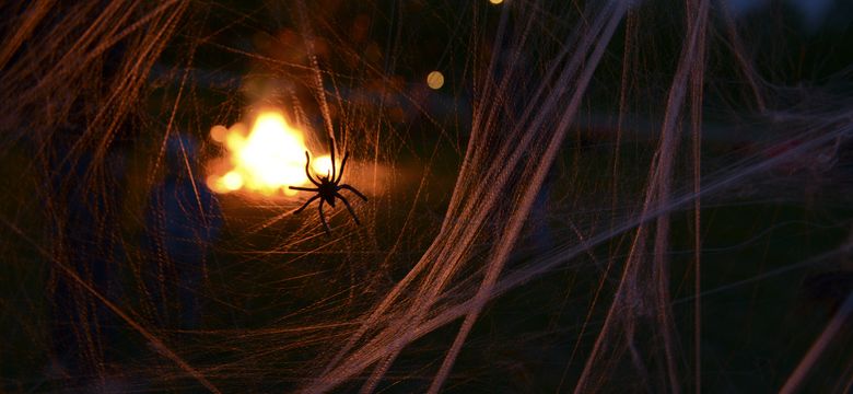 Familotel Bayerischer Wald ULRICHSHOF Nature · Family · Design: Süßes oder Saures....?