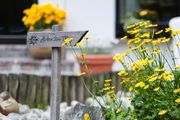 Schweitzer Vorteilswoche 