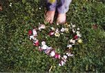 blumenherz1.jpg