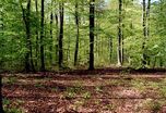 fruehling1.jpg