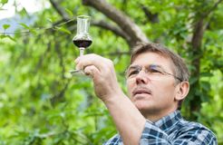Biohotel Panorama: Schnapsverkostung - Biohotel Panorama, Mals, Vinschgau, Trentino-Südtirol, Italien