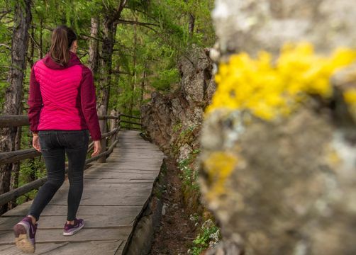 Biohotel Panorama: Wandern - Biohotel Panorama, Mals, Vinschgau, Trentino-Südtirol, Italien