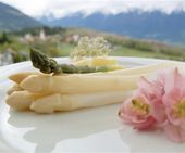 Sulle tracce della primavera