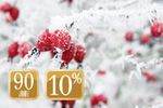 "Jubiläums - Eisblumen Tage"
