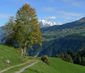 Wanderquicki für Alpenfans