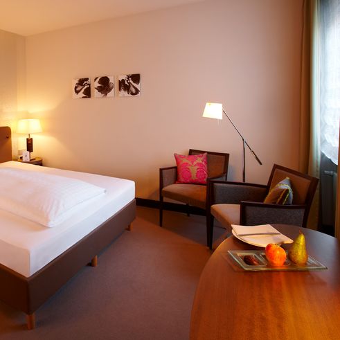 Hotel Ritter Durbach - Standard Room