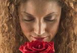 Lassen Sie es rote Rosen regnen im Romantikhotel | 4 Tage