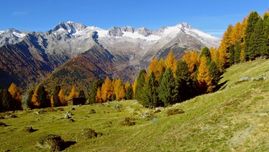 In fall, the Ahrn Valley presents itself in all its splendor, while the morning fog still covers the valley and the sun slowly rises over the mountain peaks. Enjoy colorful and unique autumn days, amidst wholesome nature, a pristine mountain landscape and at the heart of one of South Tyrol's most beautiful valleys - the Ahrn Valley.