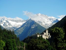 Dalla metà di maggio, in Valle Aurina, quando la fienagione è già in pieno svolgimento, la natura allestisce ogni anno il suo spettacolo d’alta quota. Venite ad ammirare su facili sentieri escursionistici la stupefacente flora alpina dei giardini naturali dei monti Aurini.