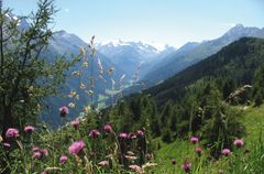 Semaines d`automne