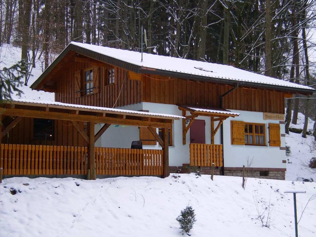 Ferienhaus Vogesen-Chalet (100666), Puberg, Unterelsass, Elsass, Frankreich, Bild 1