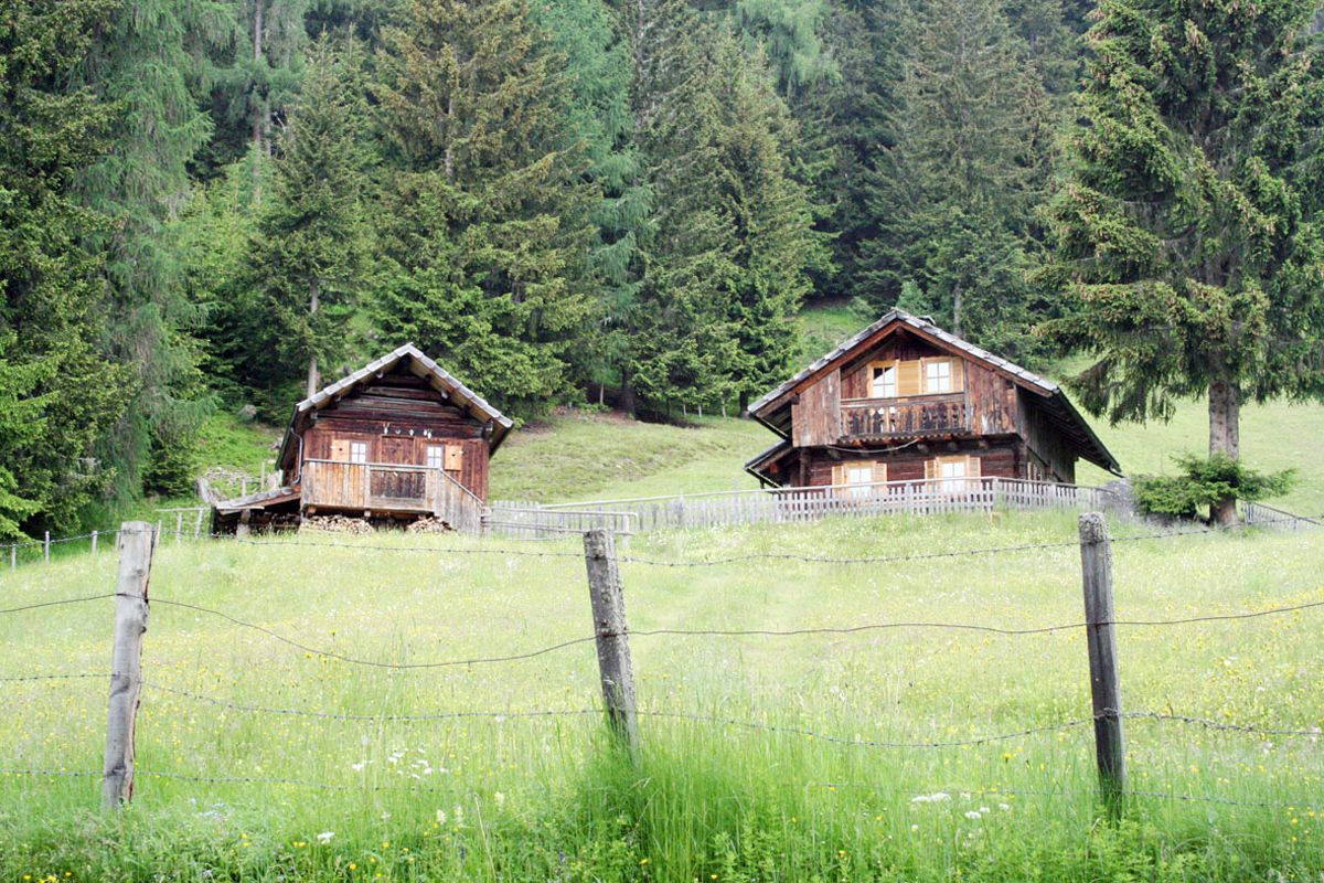 Ferienhaus Enzianhütte (100559), Irschen, Oberdrautal, Kärnten, Österreich, Bild 10