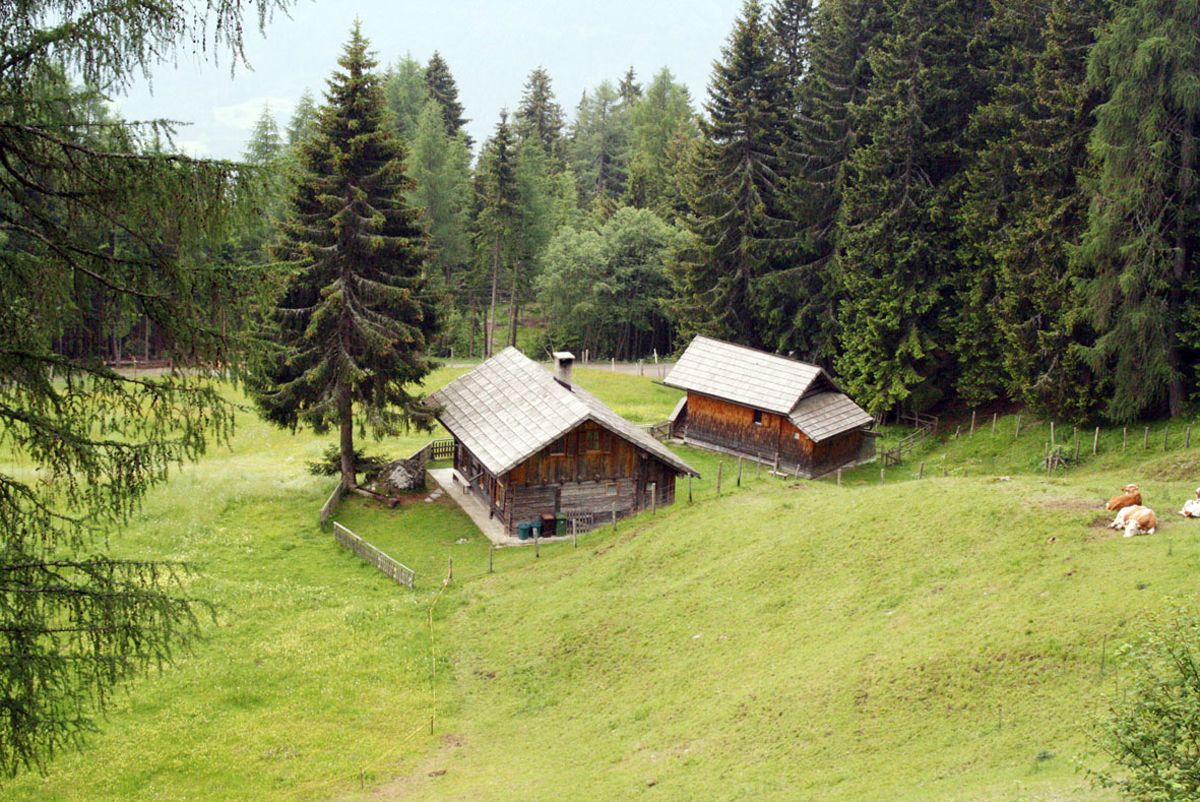 Ferienhaus Enzianhütte (100559), Irschen, Oberdrautal, Kärnten, Österreich, Bild 14