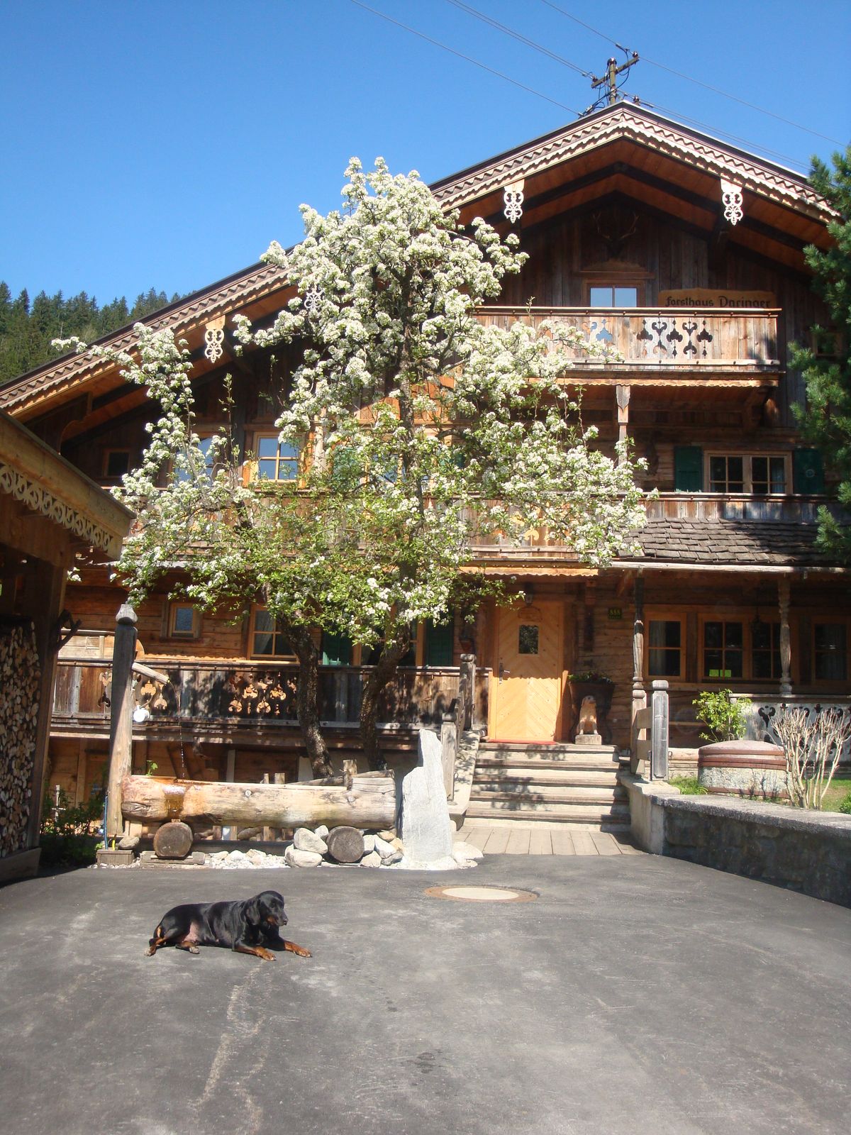 Forsthaus Daringer