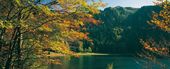 Goldener Herbst | 2012