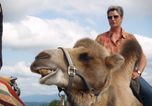 Rent a Camel...?!