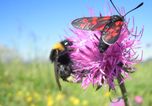 Crystal Taster Hiking Days L