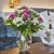 Juniorsuite Adlerweiher IV